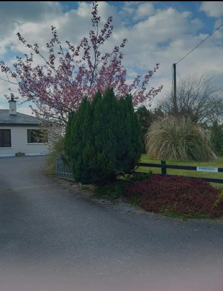 Apartamento Parkhill House Self Catering Ballyshannon Exterior foto